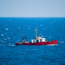 Red Fishing Boat